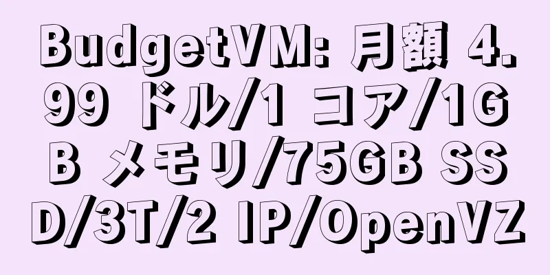 BudgetVM: 月額 4.99 ドル/1 コア/1GB メモリ/75GB SSD/3T/2 IP/OpenVZ