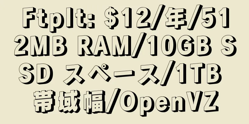 FtpIt: $12/年/512MB RAM/10GB SSD スペース/1TB 帯域幅/OpenVZ