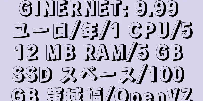 GINERNET: 9.99 ユーロ/年/1 CPU/512 MB RAM/5 GB SSD スペース/100 GB 帯域幅/OpenVZ