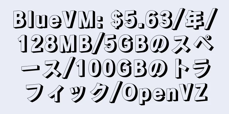 BlueVM: $5.63/年/128MB/5GBのスペース/100GBのトラフィック/OpenVZ