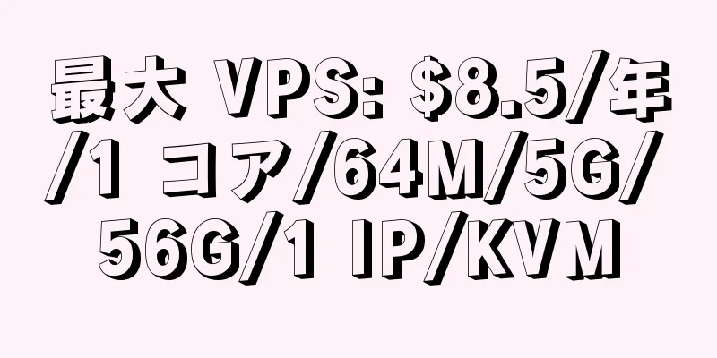 最大 VPS: $8.5/年/1 コア/64M/5G/56G/1 IP/KVM