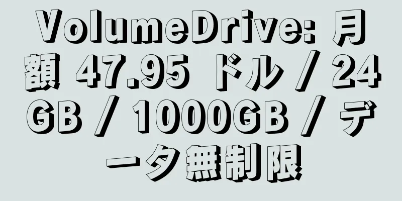 VolumeDrive: 月額 47.95 ドル / 24GB / 1000GB / データ無制限