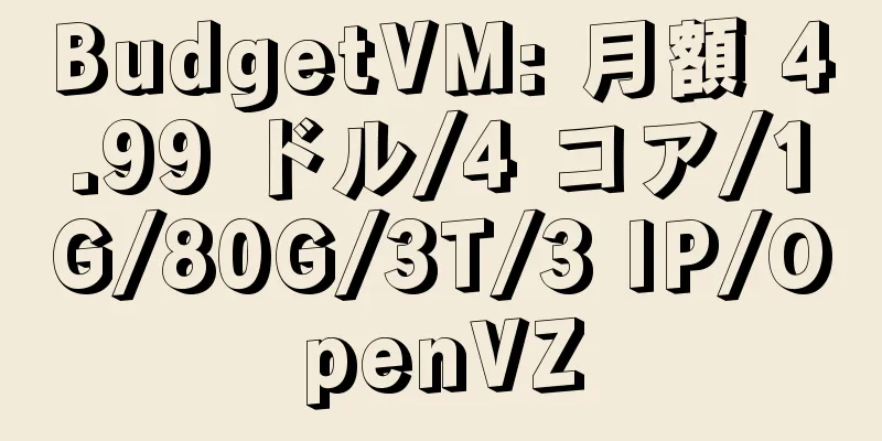 BudgetVM: 月額 4.99 ドル/4 コア/1G/80G/3T/3 IP/OpenVZ