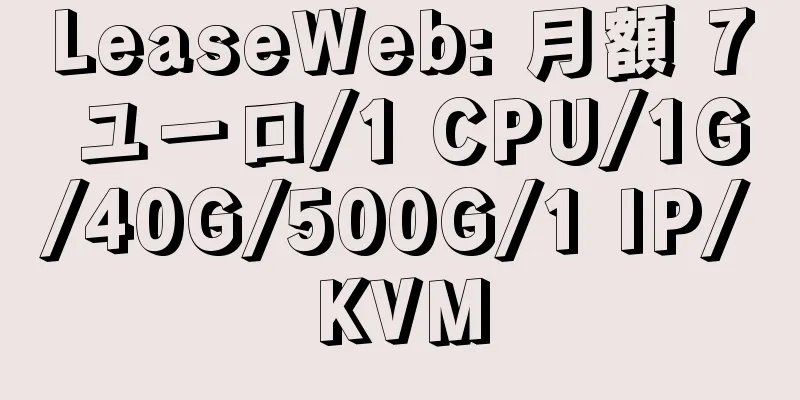 LeaseWeb: 月額 7 ユーロ/1 CPU/1G/40G/500G/1 IP/KVM