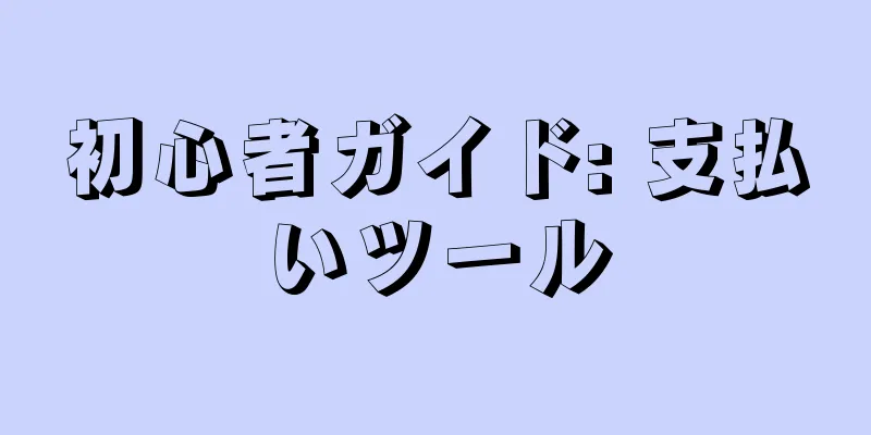 初心者ガイド: 支払いツール