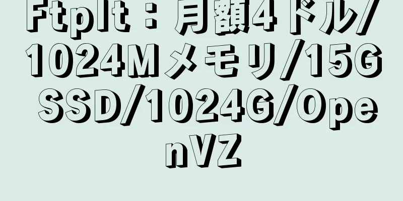 FtpIt：月額4ドル/1024Mメモリ/15G SSD/1024G/OpenVZ