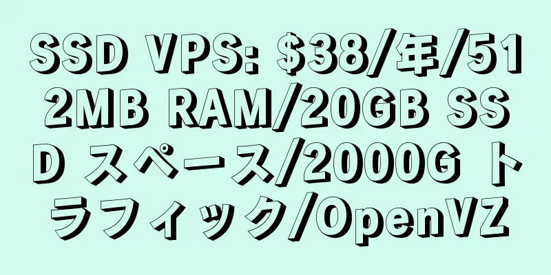 SSD VPS: $38/年/512MB RAM/20GB SSD スペース/2000G トラフィック/OpenVZ