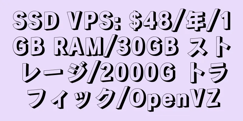 SSD VPS: $48/年/1GB RAM/30GB ストレージ/2000G トラフィック/OpenVZ