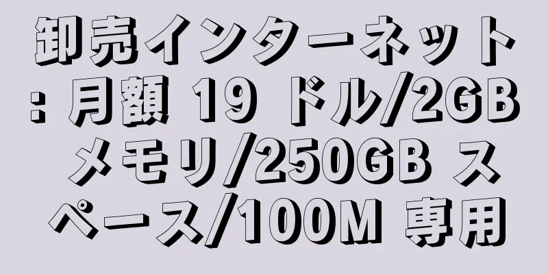 卸売インターネット: 月額 19 ドル/2GB メモリ/250GB スペース/100M 専用