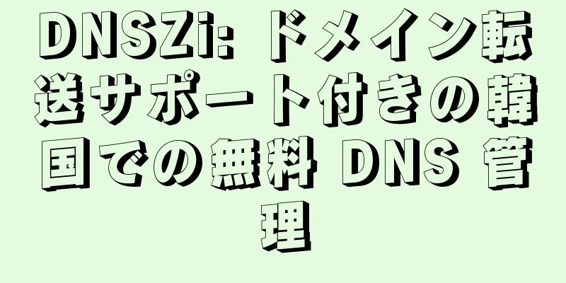 DNSZi: ドメイン転送サポート付きの韓国での無料 DNS 管理