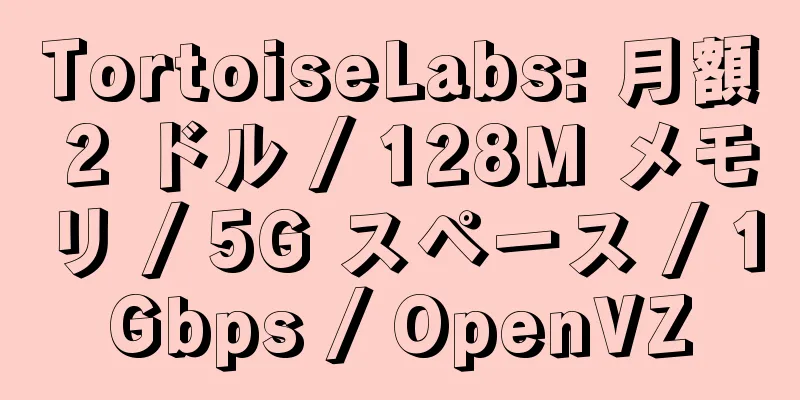 TortoiseLabs: 月額 2 ドル / 128M メモリ / 5G スペース / 1Gbps / OpenVZ