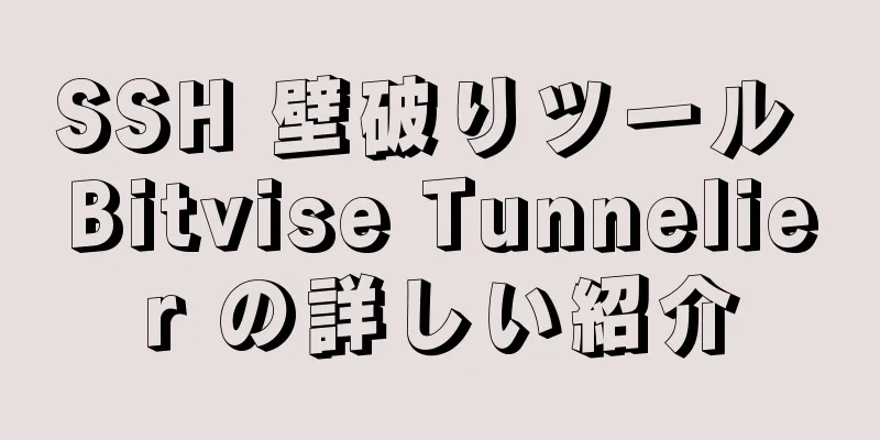 SSH 壁破りツール Bitvise Tunnelier の詳しい紹介