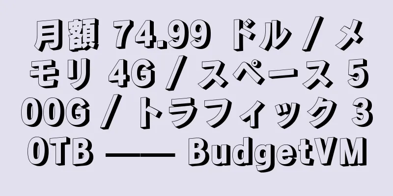 月額 74.99 ドル / メモリ 4G / スペース 500G / トラフィック 30TB —— BudgetVM