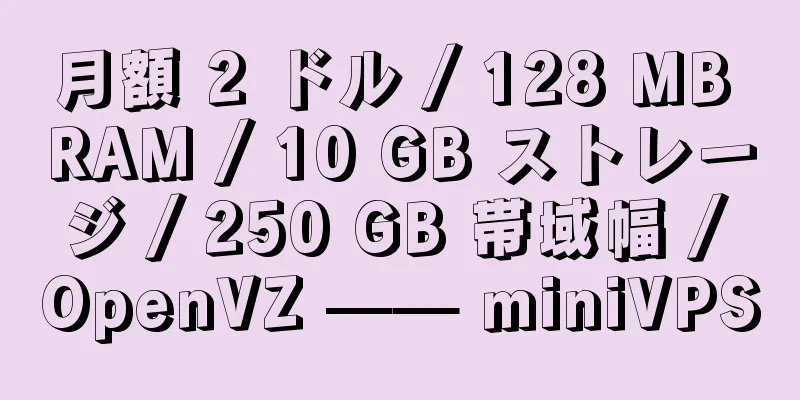 月額 2 ドル / 128 MB RAM / 10 GB ストレージ / 250 GB 帯域幅 / OpenVZ —— miniVPS