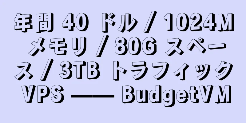 年間 40 ドル / 1024M メモリ / 80G スペース / 3TB トラフィック VPS —— BudgetVM