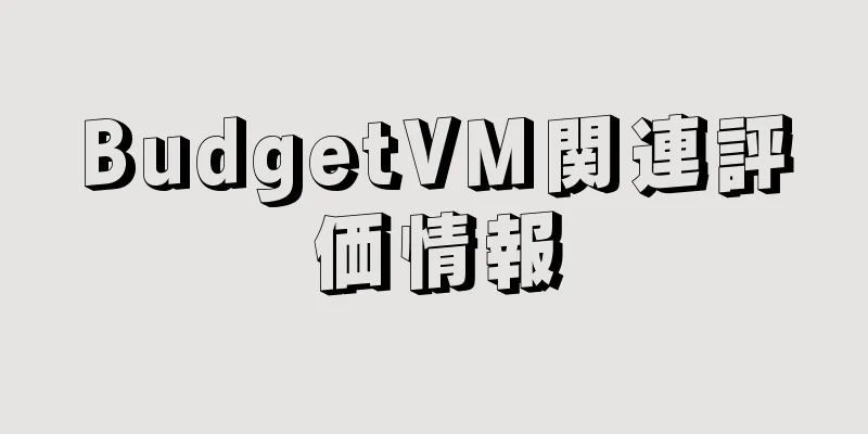 BudgetVM関連評価情報