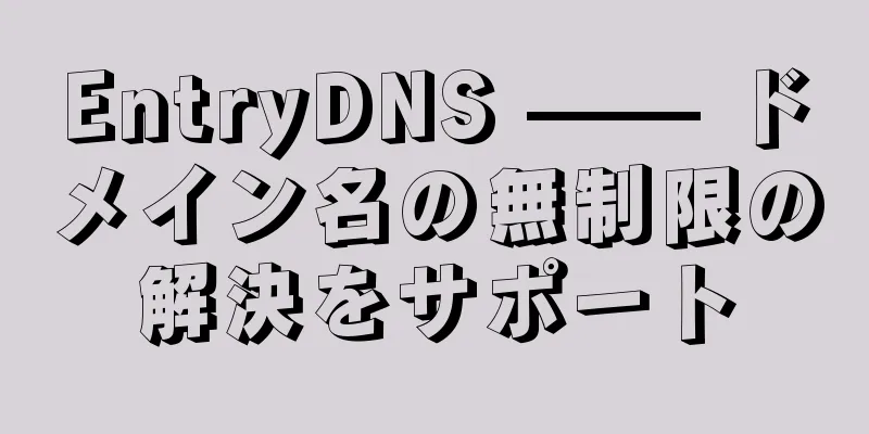 EntryDNS —— ドメイン名の無制限の解決をサポート