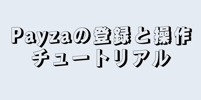 Payzaの登録と操作チュートリアル