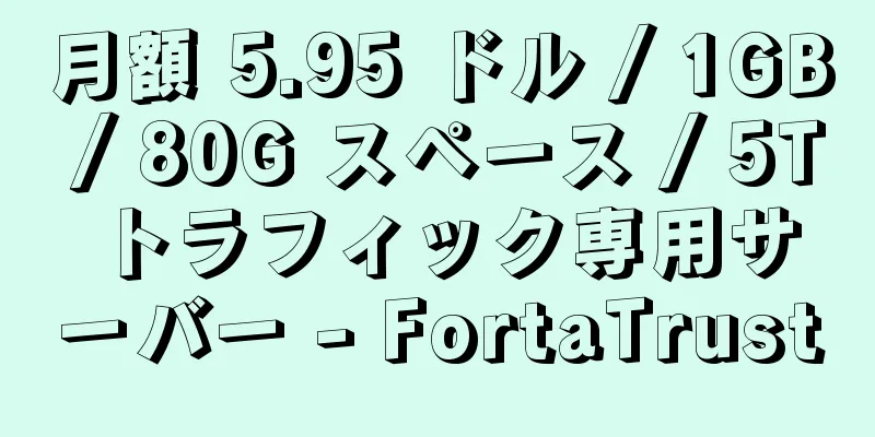 月額 5.95 ドル / 1GB / 80G スペース / 5T トラフィック専用サーバー - FortaTrust