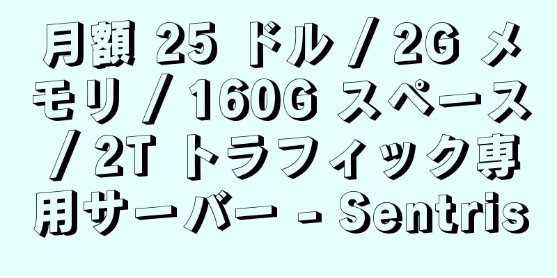 月額 25 ドル / 2G メモリ / 160G スペース / 2T トラフィック専用サーバー - Sentris