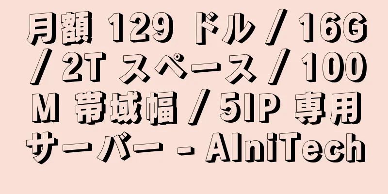 月額 129 ドル / 16G / 2T スペース / 100M 帯域幅 / 5IP 専用サーバー - AlniTech