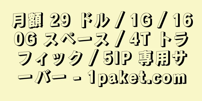 月額 29 ドル / 1G / 160G スペース / 4T トラフィック / 5IP 専用サーバー - 1paket.com