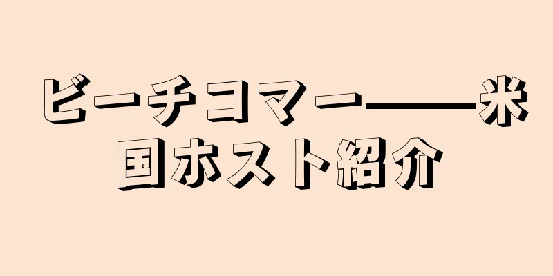 ビーチコマー——米国ホスト紹介