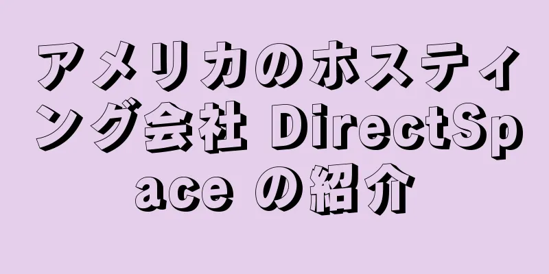 アメリカのホスティング会社 DirectSpace の紹介