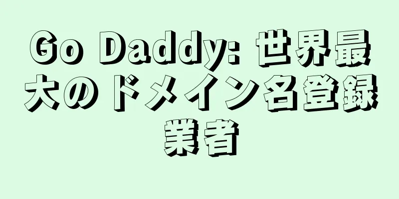 Go Daddy: 世界最大のドメイン名登録業者