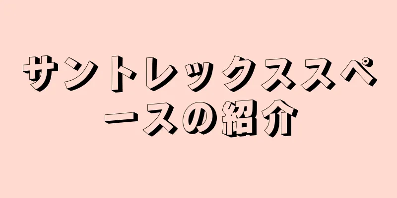 サントレックススペースの紹介