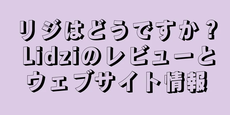 リジはどうですか？ Lidziのレビューとウェブサイト情報
