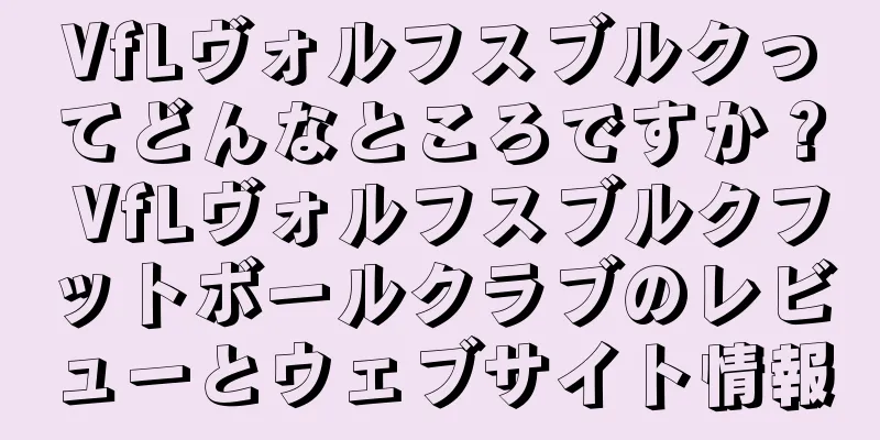 VfLヴォルフスブルクってどんなところですか？ VfLヴォルフスブルクフットボールクラブのレビューとウェブサイト情報