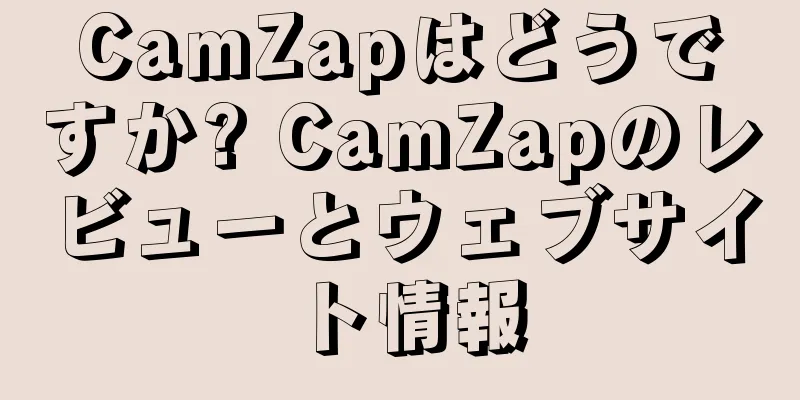 CamZapはどうですか? CamZapのレビューとウェブサイト情報