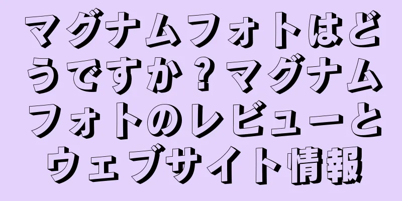 マグナムフォトはどうですか？マグナムフォトのレビューとウェブサイト情報