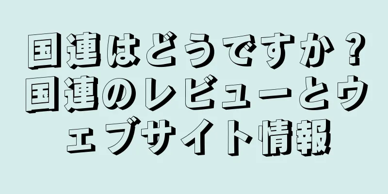 国連はどうですか？国連のレビューとウェブサイト情報
