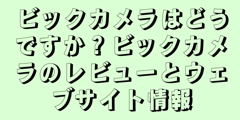 ビックカメラはどうですか？ビックカメラのレビューとウェブサイト情報