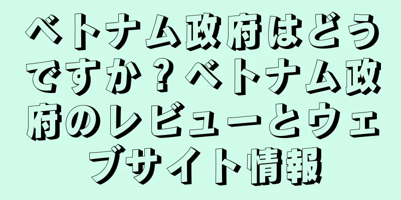 ベトナム政府はどうですか？ベトナム政府のレビューとウェブサイト情報