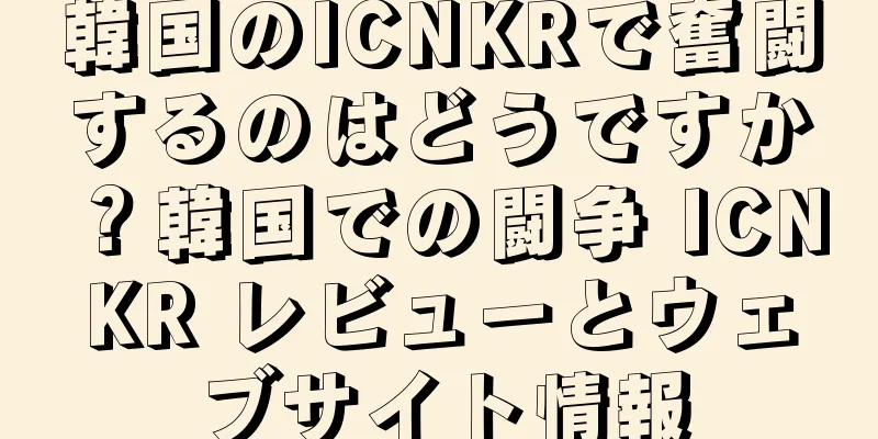 韓国のICNKRで奮闘するのはどうですか？韓国での闘争 ICNKR レビューとウェブサイト情報