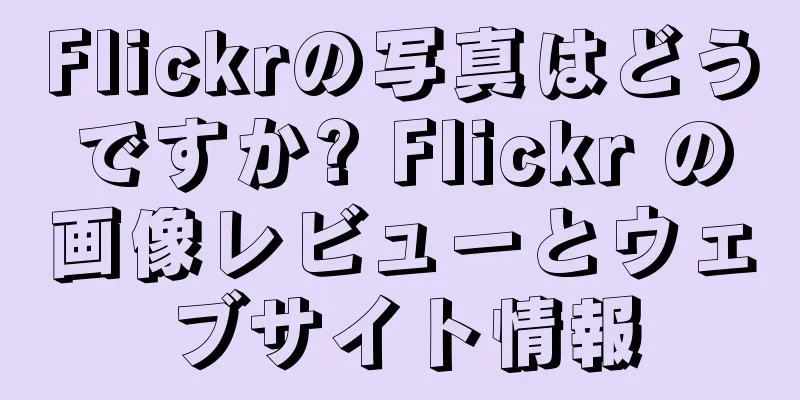 Flickrの写真はどうですか? Flickr の画像レビューとウェブサイト情報