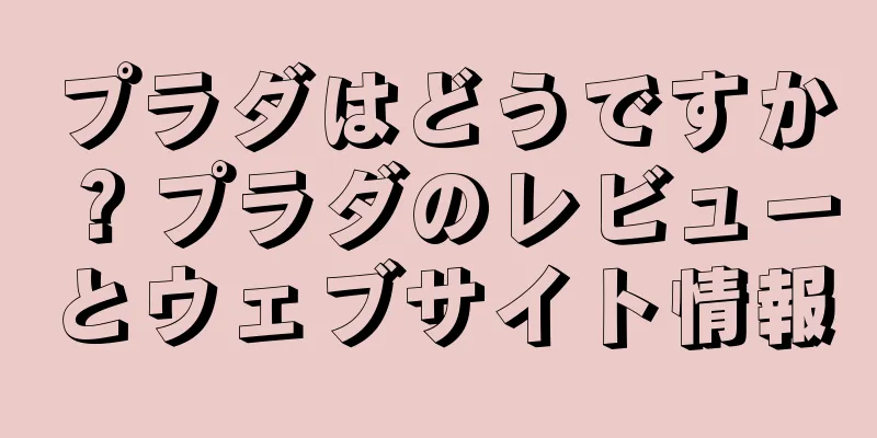 プラダはどうですか？プラダのレビューとウェブサイト情報