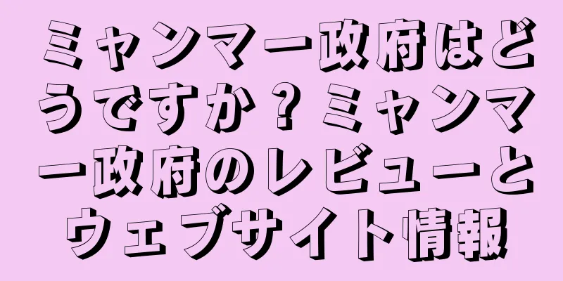 ミャンマー政府はどうですか？ミャンマー政府のレビューとウェブサイト情報