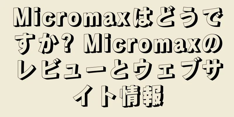 Micromaxはどうですか? Micromaxのレビューとウェブサイト情報