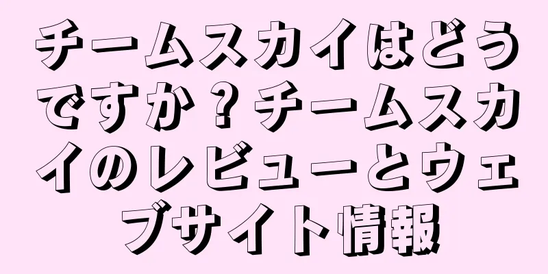 チームスカイはどうですか？チームスカイのレビューとウェブサイト情報