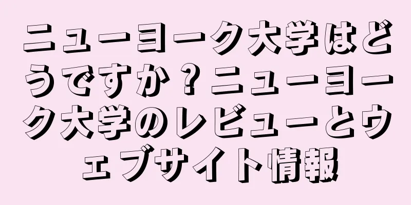 ニューヨーク大学はどうですか？ニューヨーク大学のレビューとウェブサイト情報