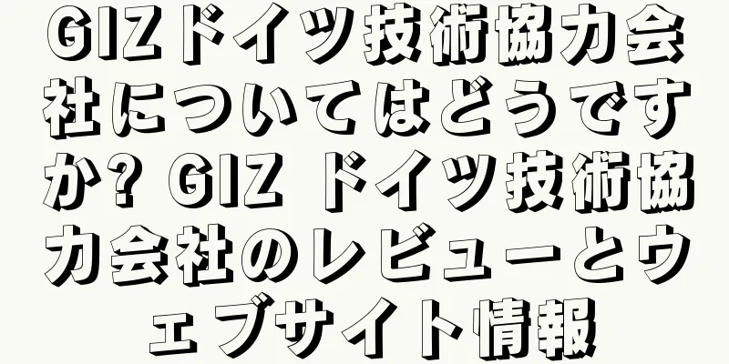 GIZドイツ技術協力会社についてはどうですか? GIZ ドイツ技術協力会社のレビューとウェブサイト情報