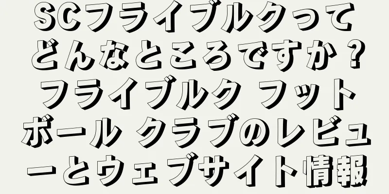 SCフライブルクってどんなところですか？フライブルク フットボール クラブのレビューとウェブサイト情報
