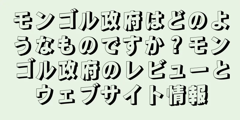モンゴル政府はどのようなものですか？モンゴル政府のレビューとウェブサイト情報