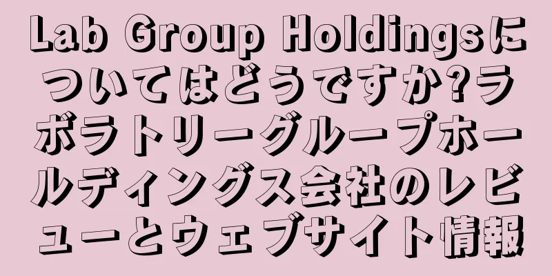 Lab Group Holdingsについてはどうですか?ラボラトリーグループホールディングス会社のレビューとウェブサイト情報