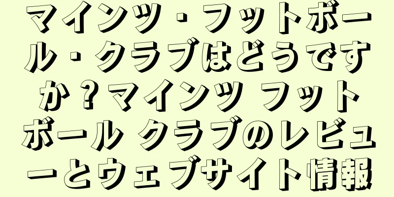 マインツ・フットボール・クラブはどうですか？マインツ フットボール クラブのレビューとウェブサイト情報