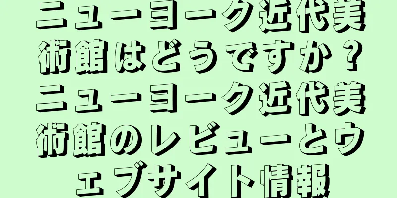 ニューヨーク近代美術館はどうですか？ニューヨーク近代美術館のレビューとウェブサイト情報